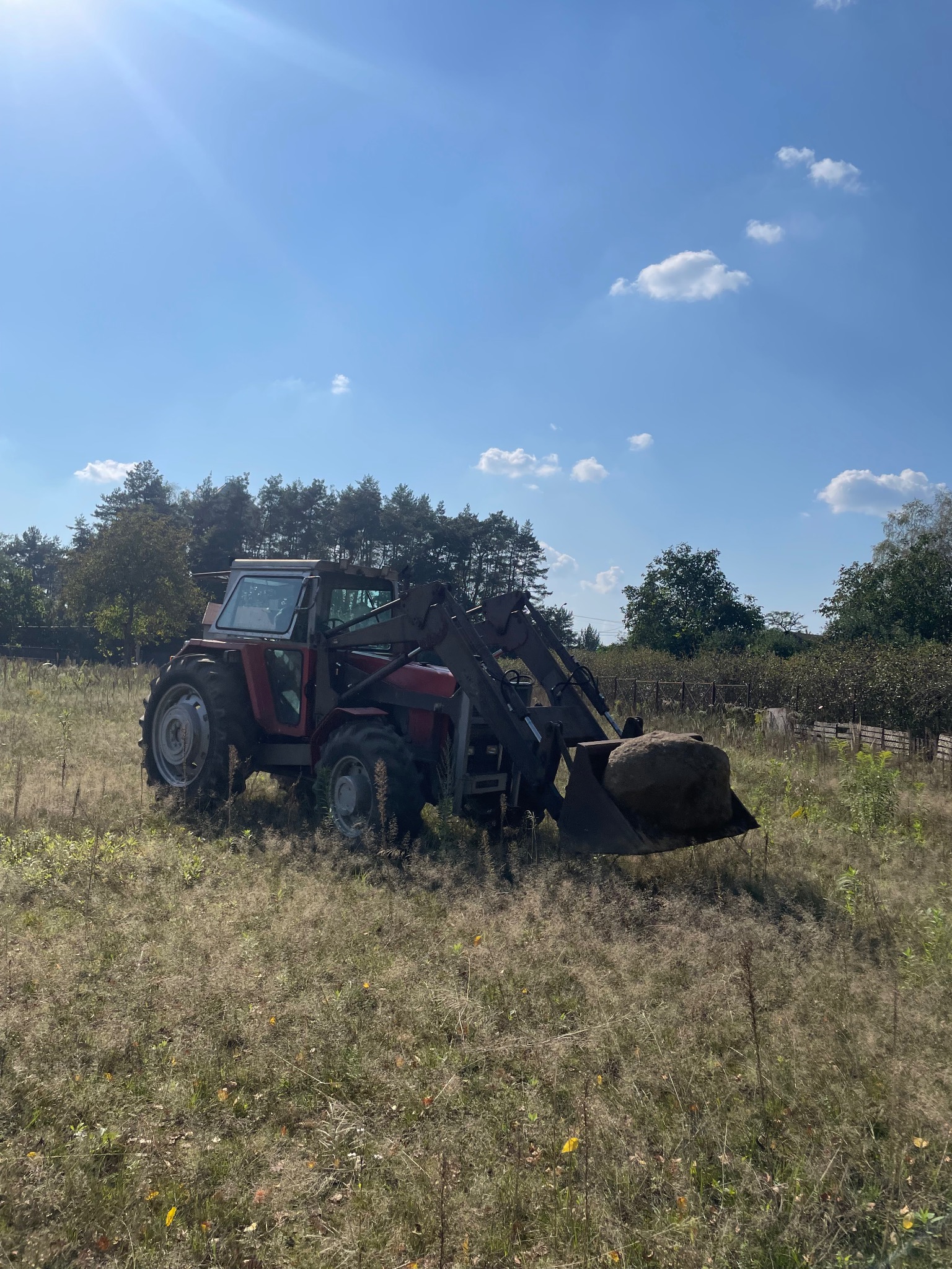 Czerwony traktor z ładowaczem czołowym transportujący duży kamień na zarośniętym terenie w słoneczny dzień.