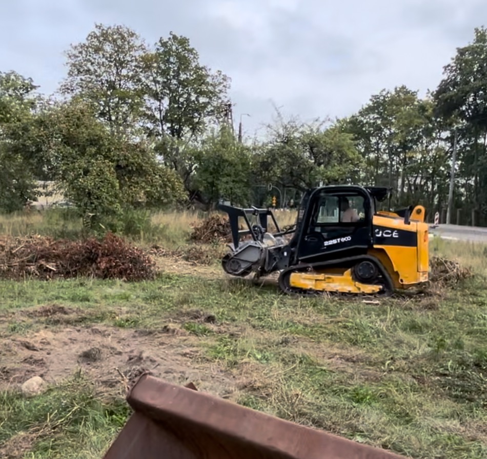 Żółto-czarna frezarka do pni drzew w trakcie pracy na zarośniętym terenie, widoczne ślady frezowania, w tle drzewa i droga.