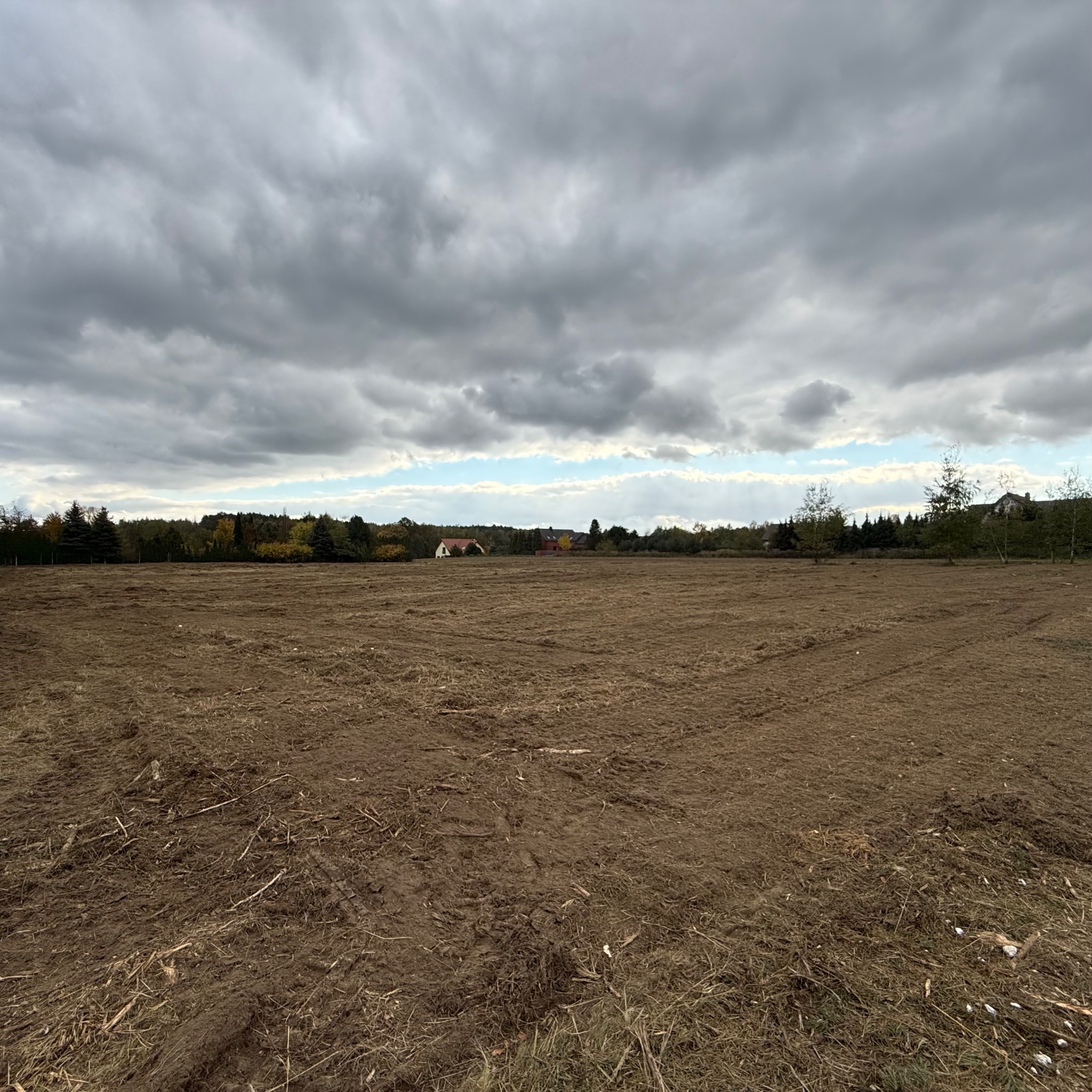 Przygotowany teren pod budowę w Łodzi, świeżo po niwelacji, z widocznymi śladami po maszynach rolniczych i pozostałościami roślinności, pod pochmurnym niebem.