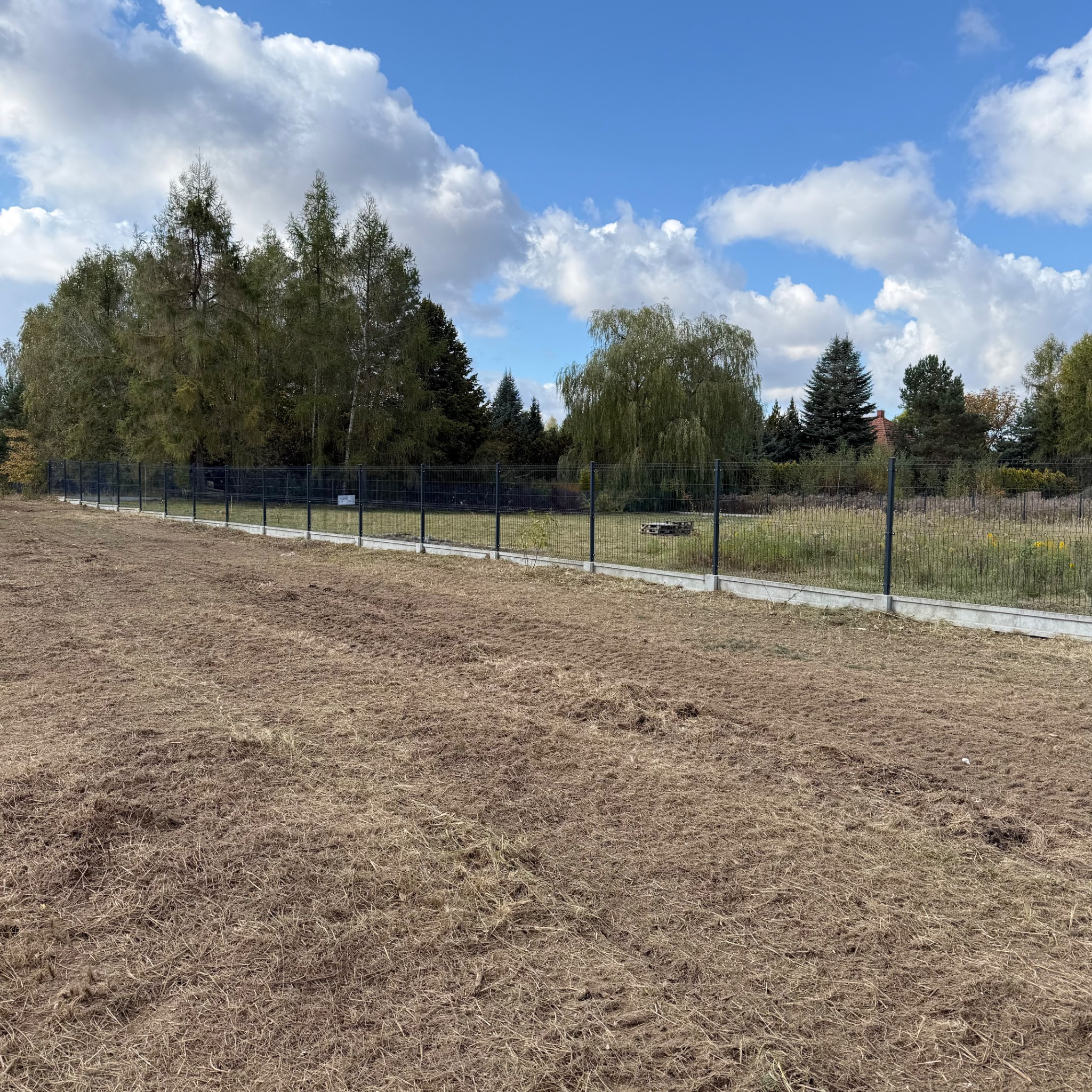 Przygotowany teren pod trawnik, widoczne resztki roślinności, ogrodzenie panelowe na betonowej podmurówce, w tle drzewa i błękitne niebo z chmurami.