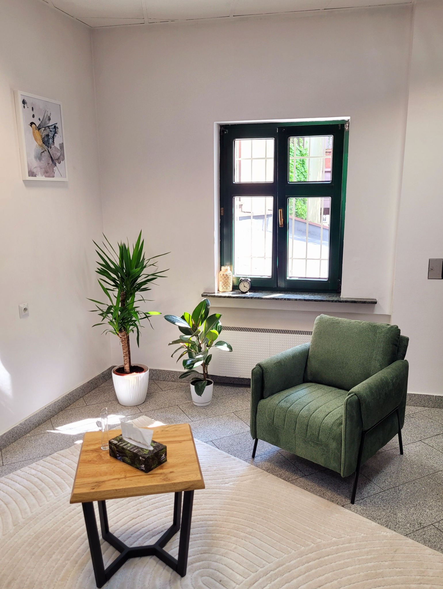 Jasny gabinet z zielonym fotelem, roślinami doniczkowymi, stolikiem kawowym z chusteczkami, obrazkiem na ścianie i oknem z widokiem na zieleń.