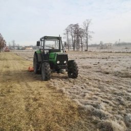 Wycinka drzew Pilawa 2