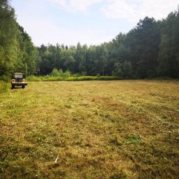 Wycinka drzew Pilawa 3