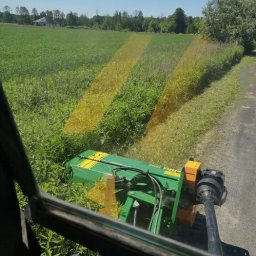 Wycinka drzew Pilawa 4