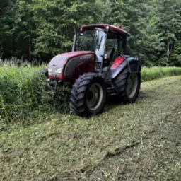 Czerwony traktor Valtra z otwartymi drzwiami na skraju lasu, świeżo skoszona trawa widoczna na ziemi.