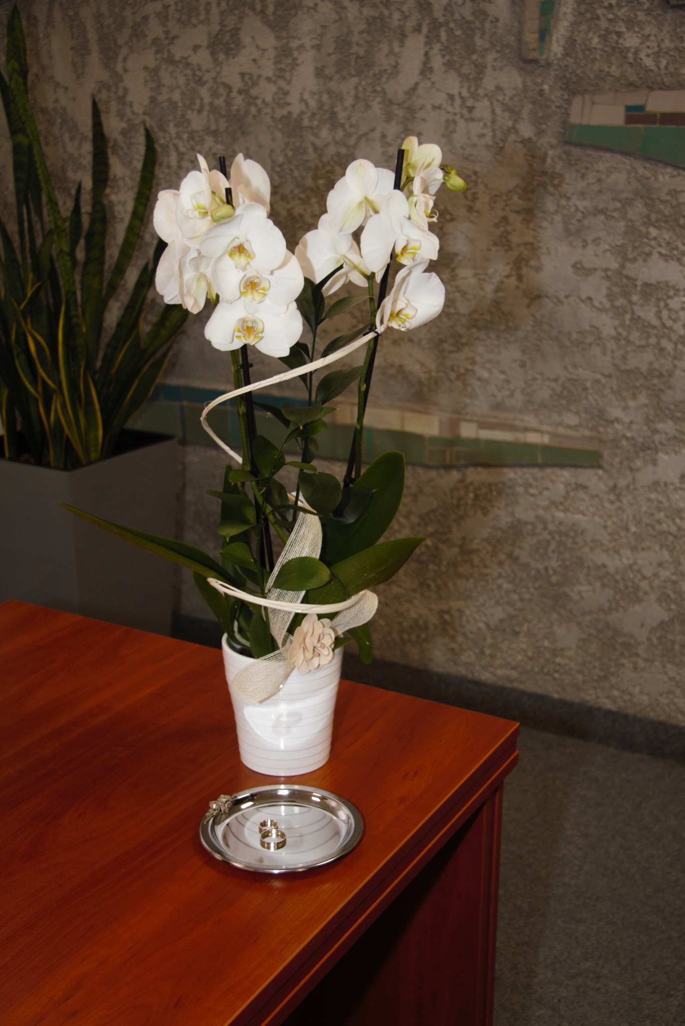 Dwa złote pierścionki leżące na srebrnej tacy obok białej doniczki z kwitnącą białą orchideą na drewnianym stole, w tle ściana o szarej, teksturowanej powierzchni.