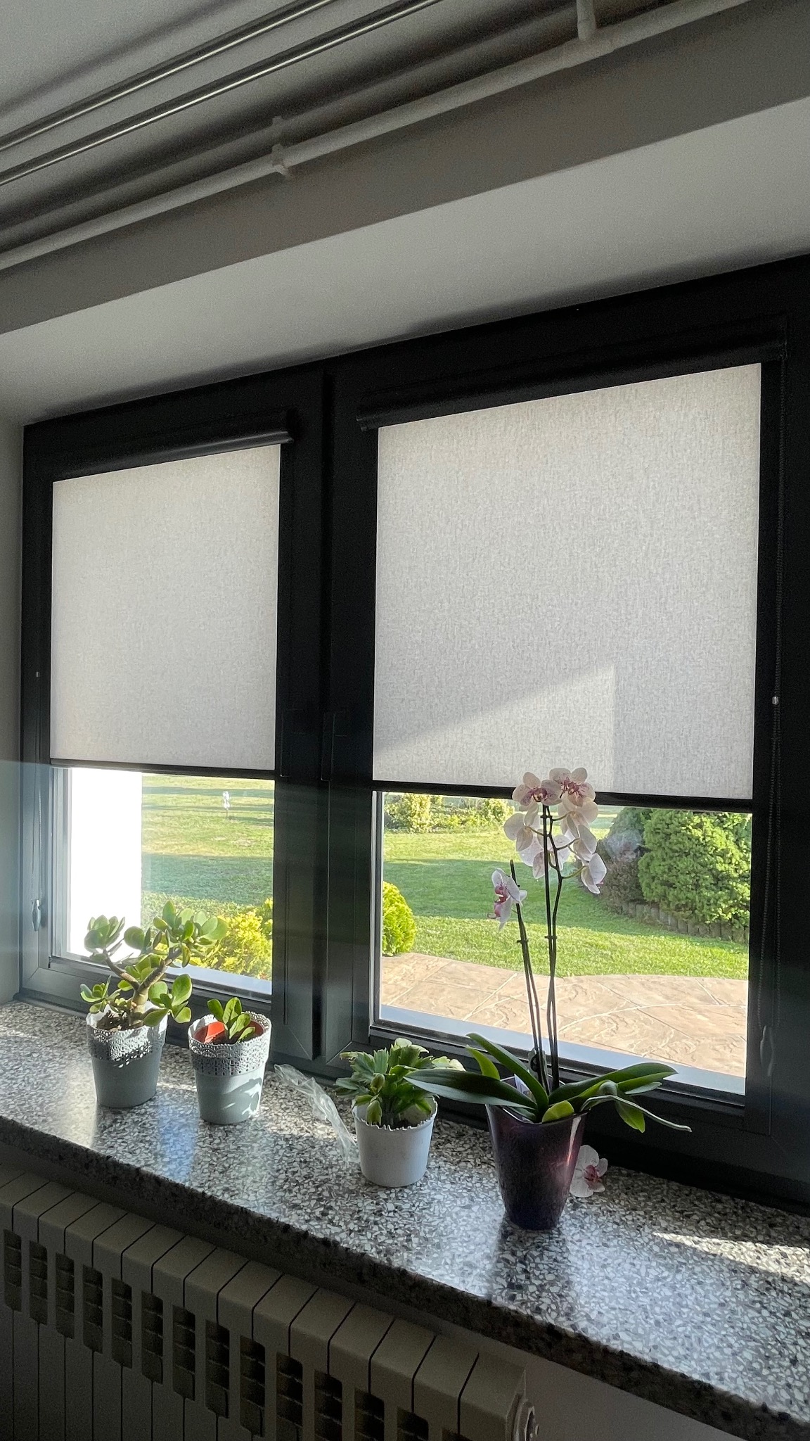 Dwa okna z czarnymi ramami, przesłonięte białymi roletami materiałowymi. Na parapetach stoją doniczki z roślinami, w tym storczyk w fioletowej doniczce. Za oknami widok na zielony ogród.