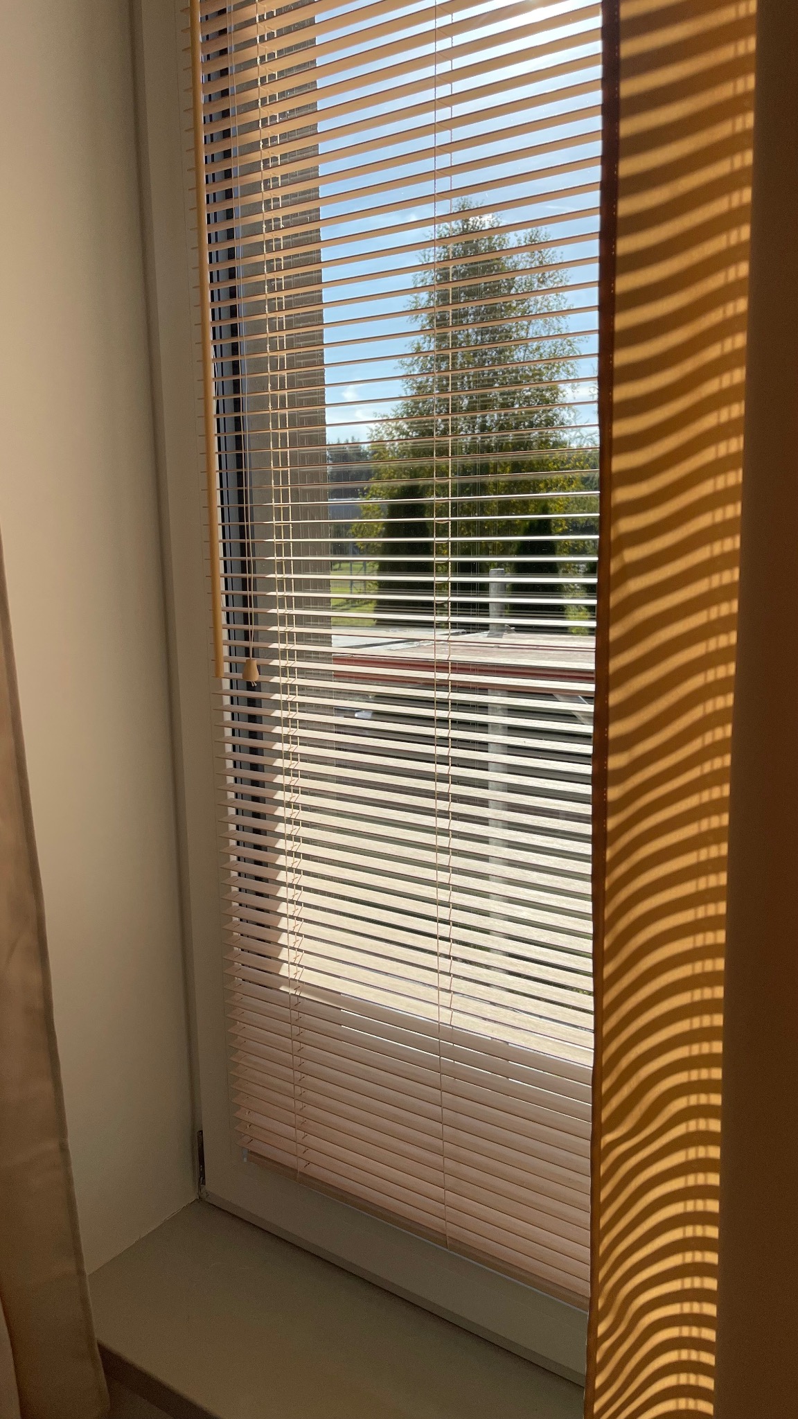 Beżowe żaluzje aluminiowe w oknie, częściowo zasłonięte, z widokiem na drzewo i budynek w tle, oświetlone popołudniowym słońcem rzucającym cienie na ścianę.