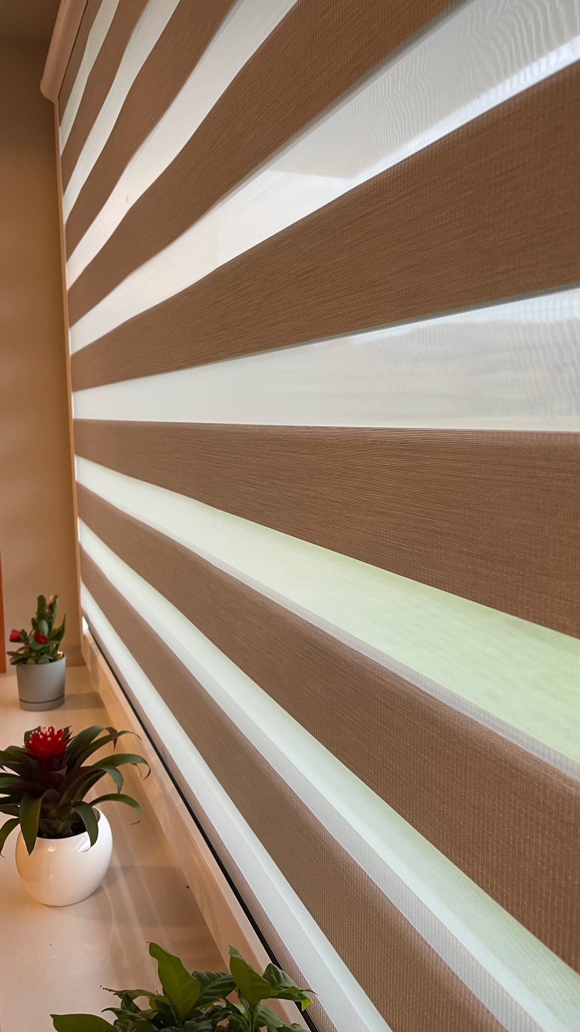 Dwukolorowe poziome pasy na oknie, brązowe i białe, z roślinami doniczkowymi na parapecie, widoczne z bliska.