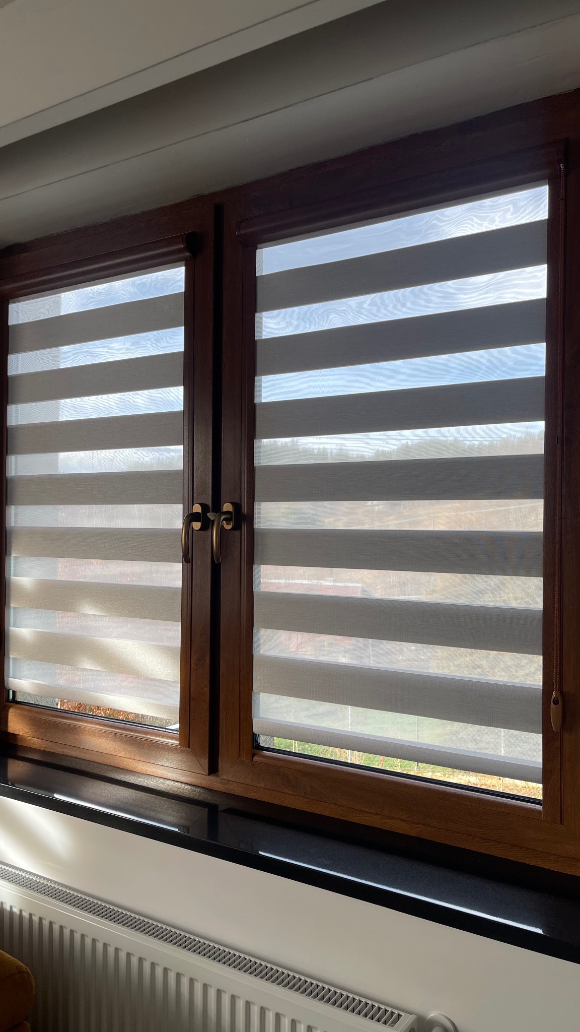 Dwa okna z drewnianą ramą i zamontowanymi roletami w systemie dzień i noc, z widokiem na zewnątrz przez prześwity.