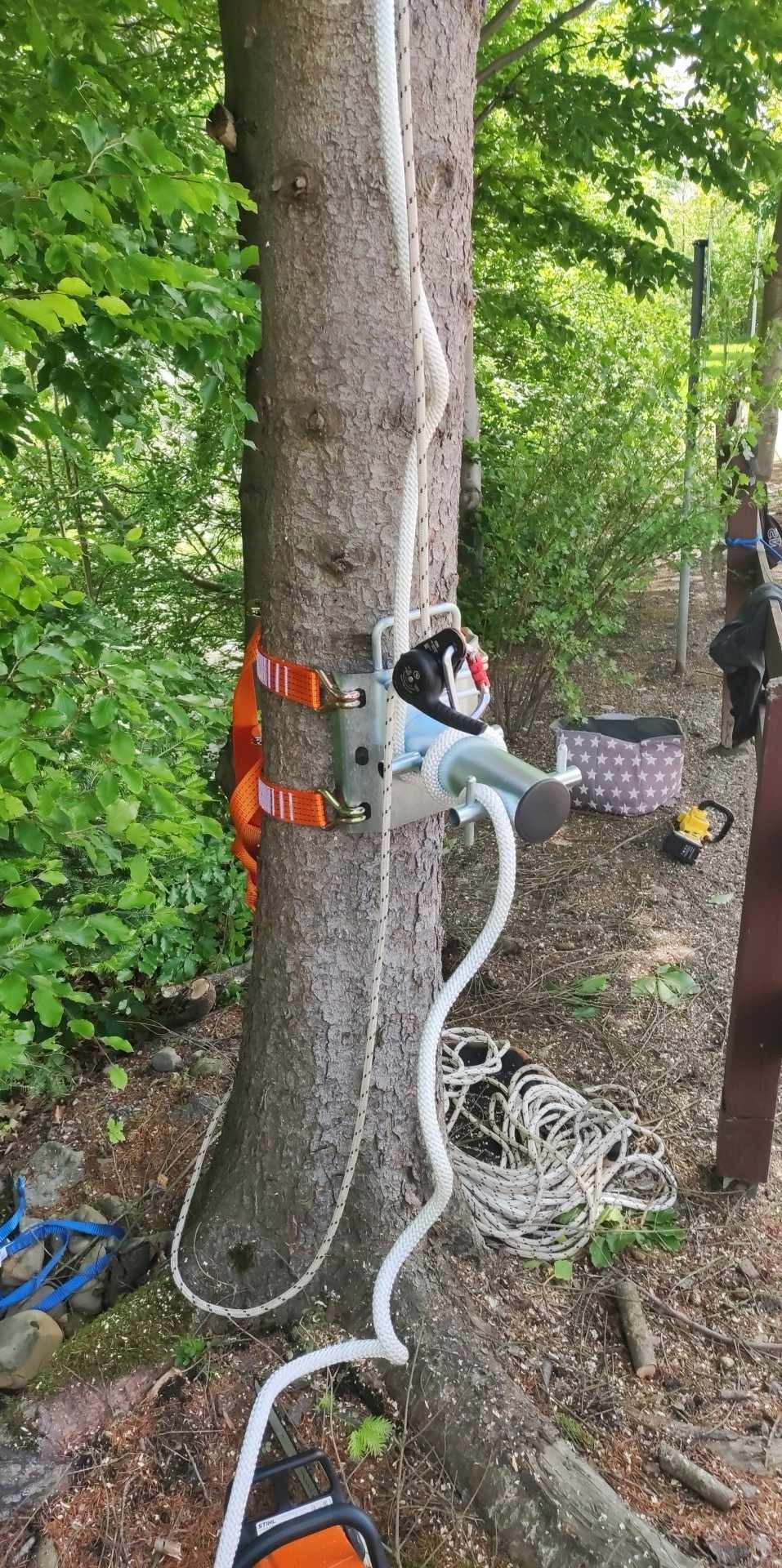 Drzewo zabezpieczone sprzętem do prac wysokościowych: liny, pasy, zaciski. Piła spalinowa leży u podstawy. Widoczne otoczenie zieleni i resztki po cięciu.