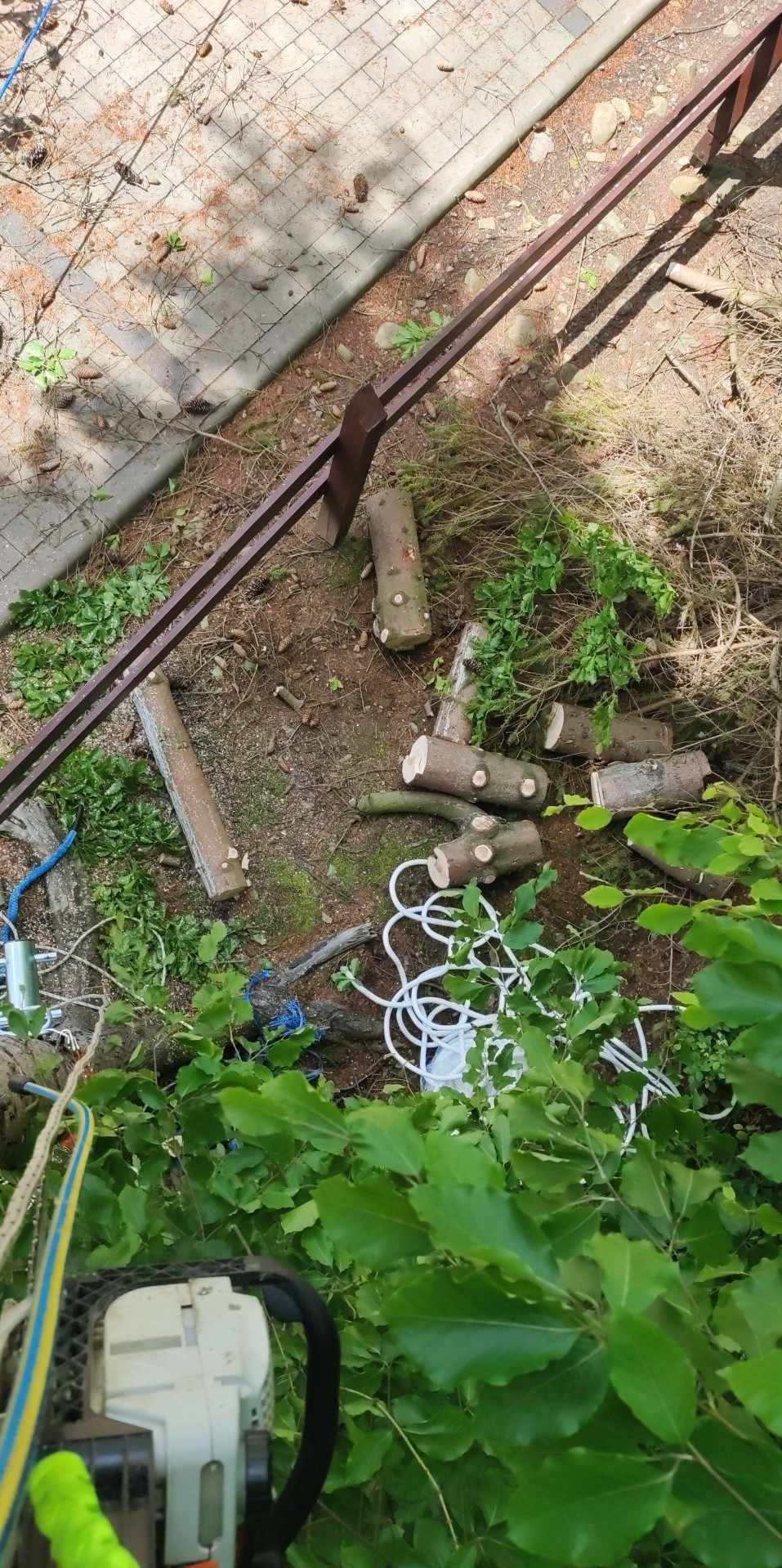 Ścięte kawałki pnia drzewa, liny i piła łańcuchowa na ziemi. Metalowy płotek w tle. Widok z góry na miejsce po wycince drzew.