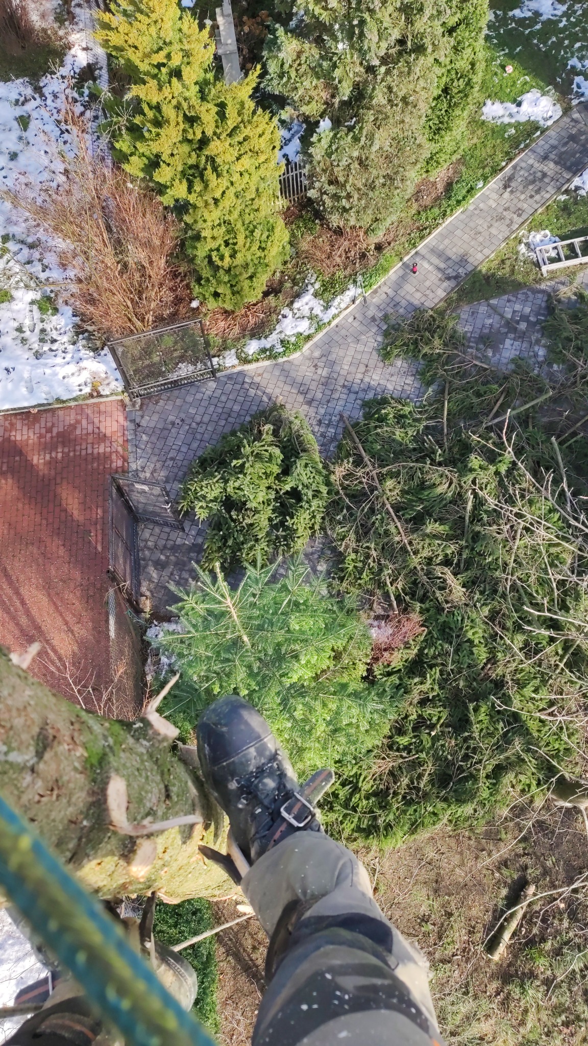 Widok z góry na teren po wycince drzew. W tle ścieżka i budynek. Na pierwszym planie noga w bucie na pniu drzewa, gałęzie i resztki po wycince.