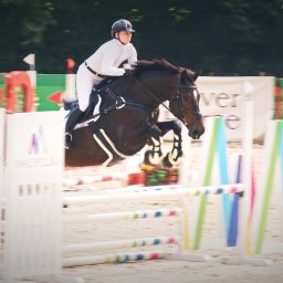 NotForSquares Arkadiusz Krzysztof - Jeździec w białym stroju i kasku skacze na brązowym koniu przez przeszkodę podczas zawodów jeździeckich na piaszczystym podłożu.