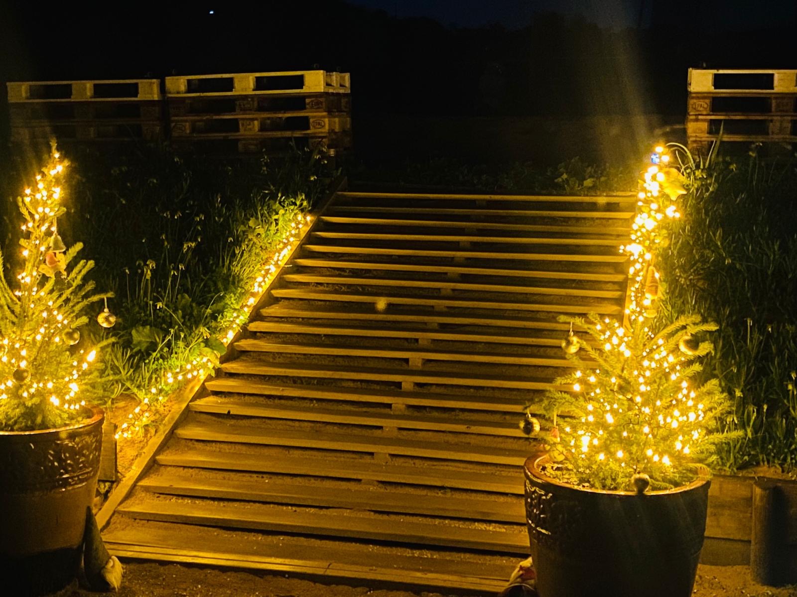 Drewniane schody zewnętrzne oświetlone lampkami choinkowymi prowadzące do paletowej konstrukcji, z dwoma małymi choinkami w donicach po bokach, również oświetlonymi lampkami, nocna sceneria.