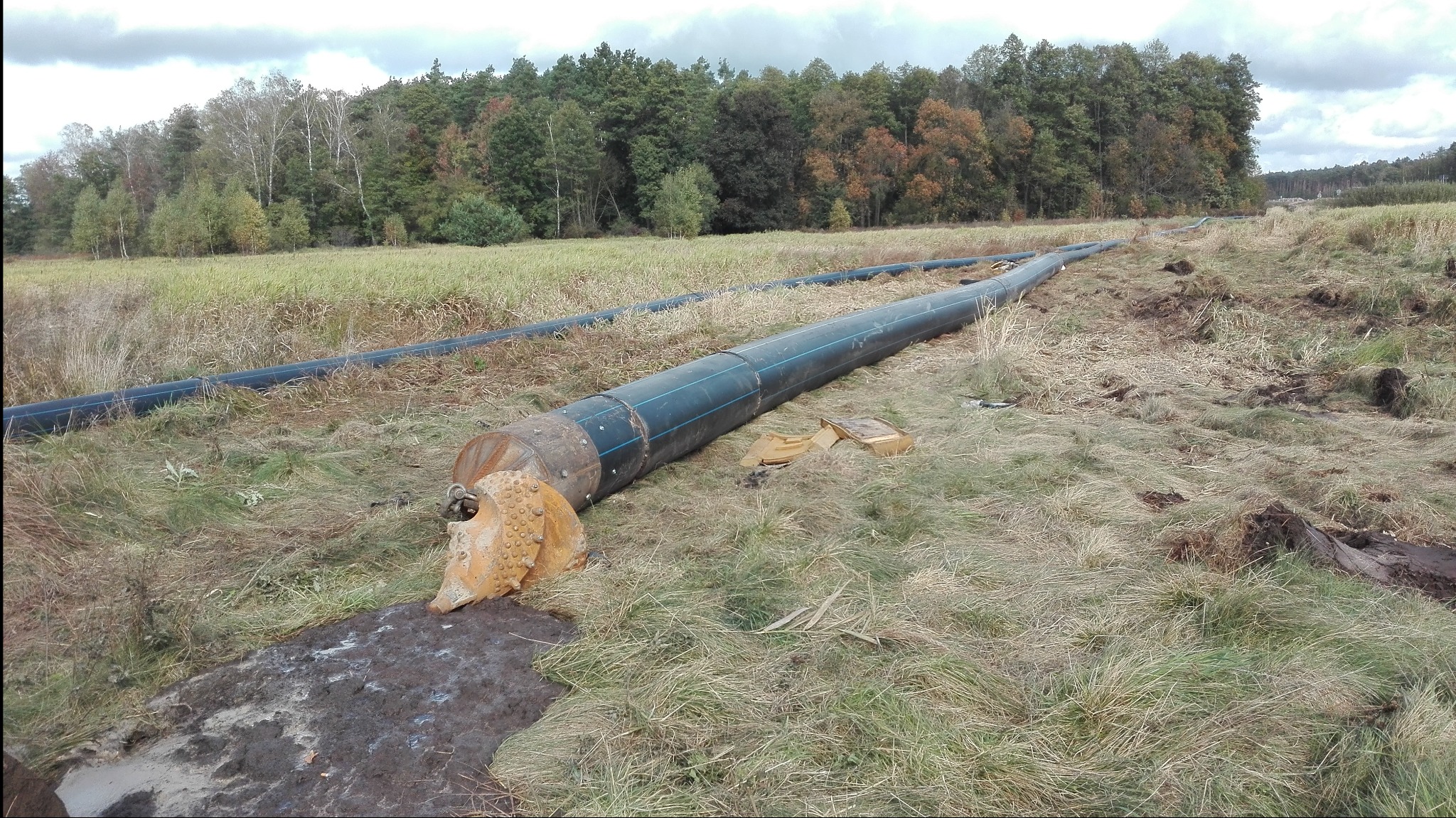 Długie, czarne rury z żółtą głowicą wiertniczą leżą na trawiastym polu z widocznymi śladami prac ziemnych, w tle las i pochmurne niebo.