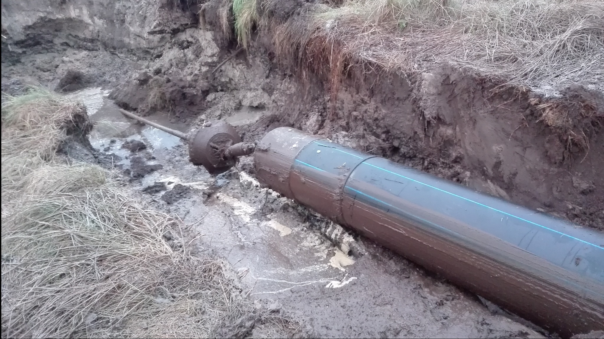 Rura z niebieskim paskiem i głowica wiertnicza zanurzone w błocie w wykopie ziemnym.