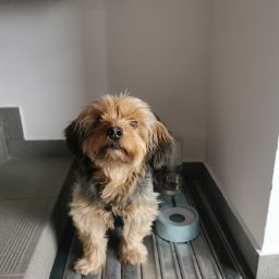 Pełna księgowość Koszalin 4