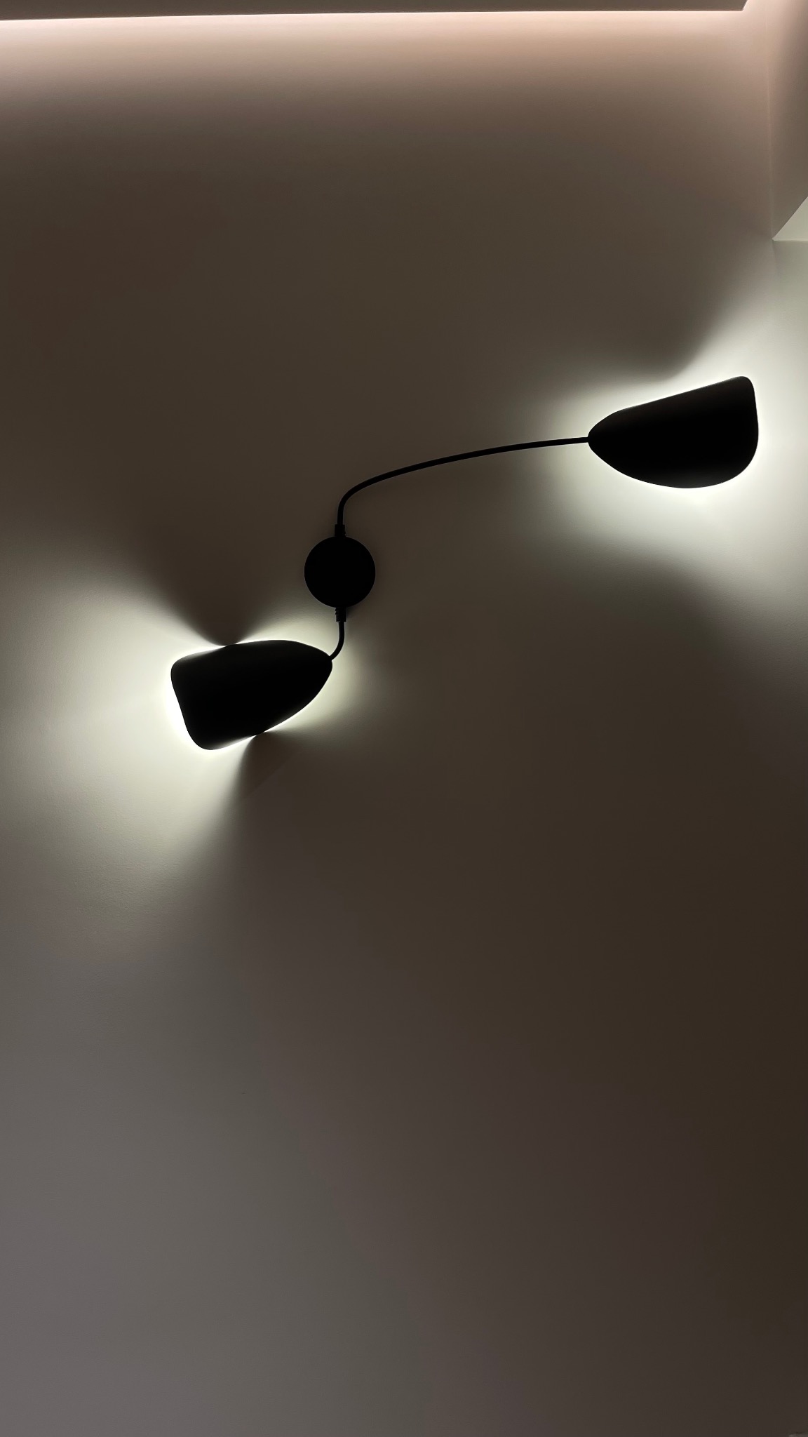 Dwu-ramienna, czarna lampa ścienna z reflektorami o organicznym kształcie, oświetlająca gładką, beżową ścianę z subtelnym paskiem światła u góry.