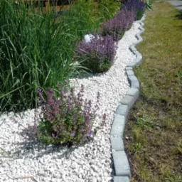 Kaskadowy układ roślinności z białym żwirem i kamiennym obrzeżem w ogrodzie w Gdyni, z dominującą zielenią traw i fioletem kwitnących bylin.