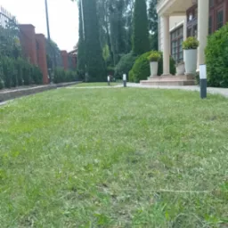 Trawnik przed reprezentacyjnym domem z kolumnami, niskie lampki ogrodowe oświetlają ścieżkę, w tle wysokie tuje i ozdobne krzewy.