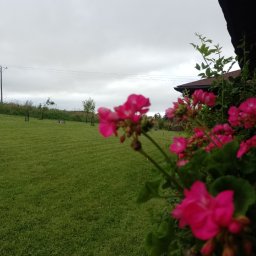 Malowanie mieszkań Gdynia 2