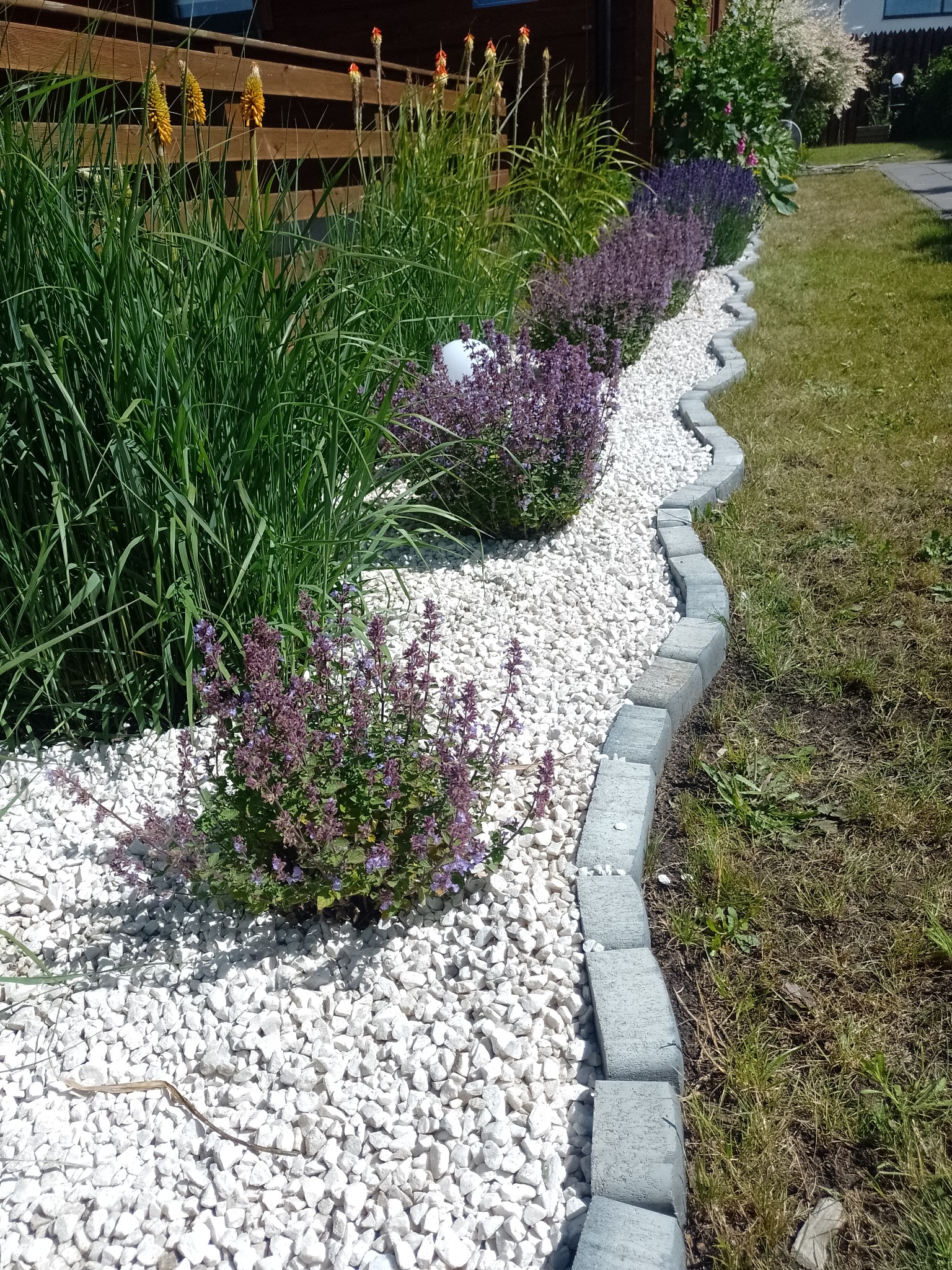 Kaskadowy układ roślinności z białym żwirem i kamiennym obrzeżem w ogrodzie w Gdyni, z dominującą zielenią traw i fioletem kwitnących bylin.