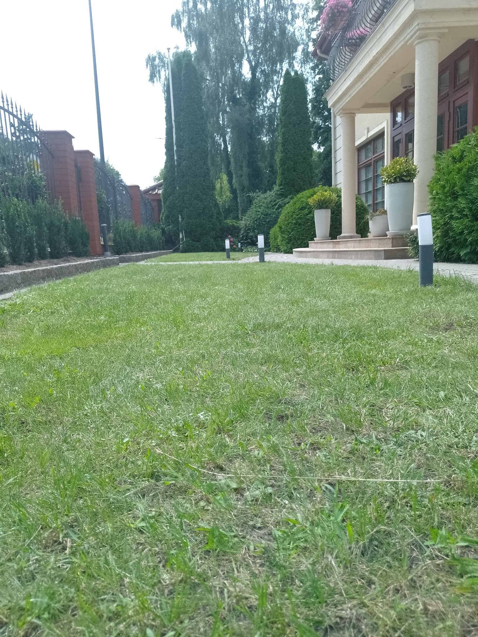 Trawnik przed reprezentacyjnym domem z kolumnami, niskie lampki ogrodowe oświetlają ścieżkę, w tle wysokie tuje i ozdobne krzewy.