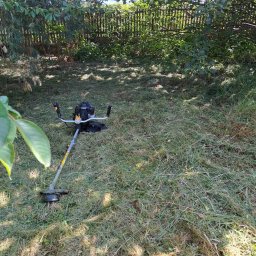 Wycinka drzew Jawor 2