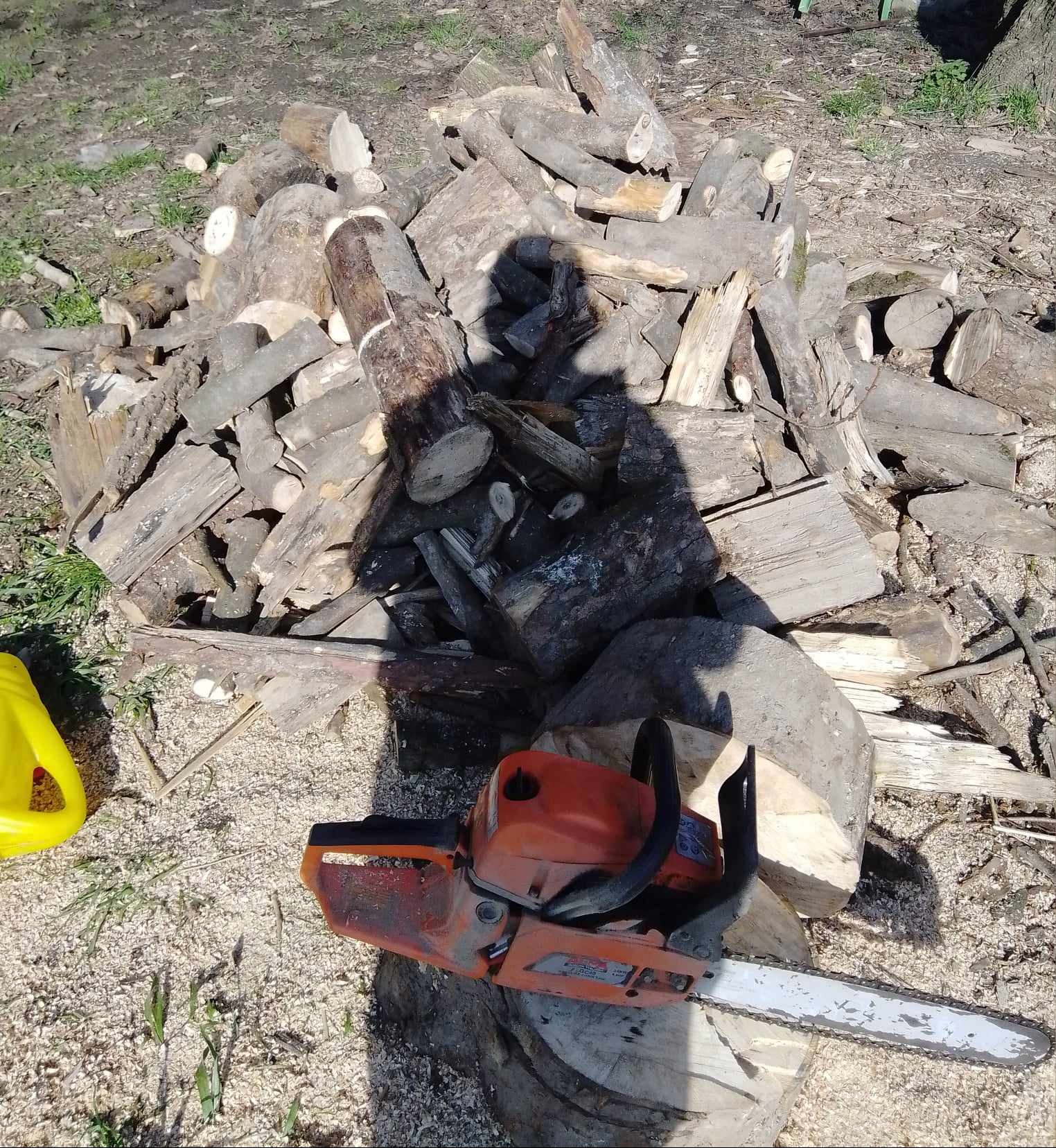 Cięcie drzew i krzewów