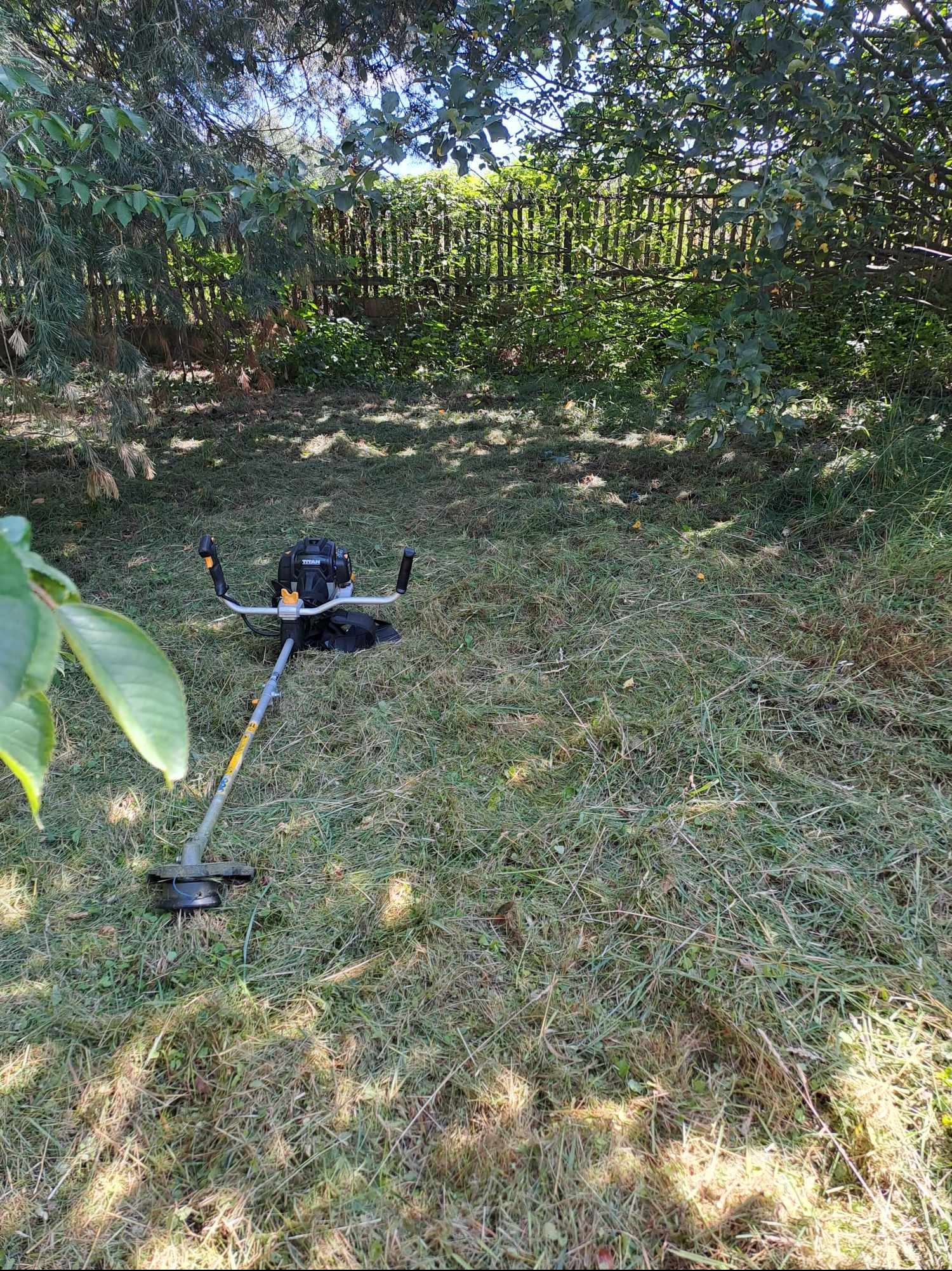 Benzynowa kosa spalinowa marki Titan leży na trawie po częściowym skoszeniu trawnika w zacienionym ogrodzie, widoczny drewniany płot w tle.