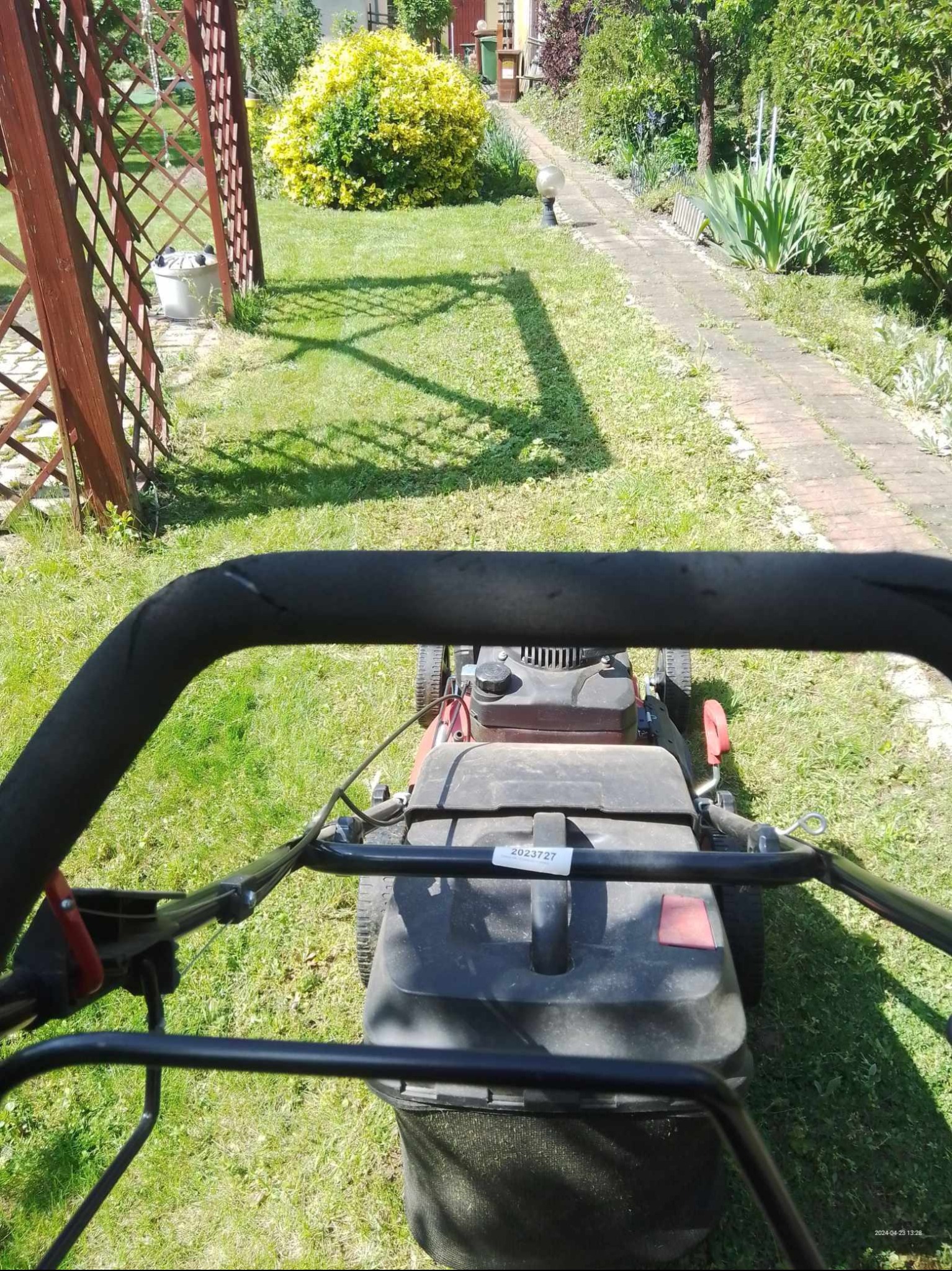 Widok zza uchwytu kosiarki na trawnik z ścieżką i krzewami w tle, trawa częściowo skoszona.