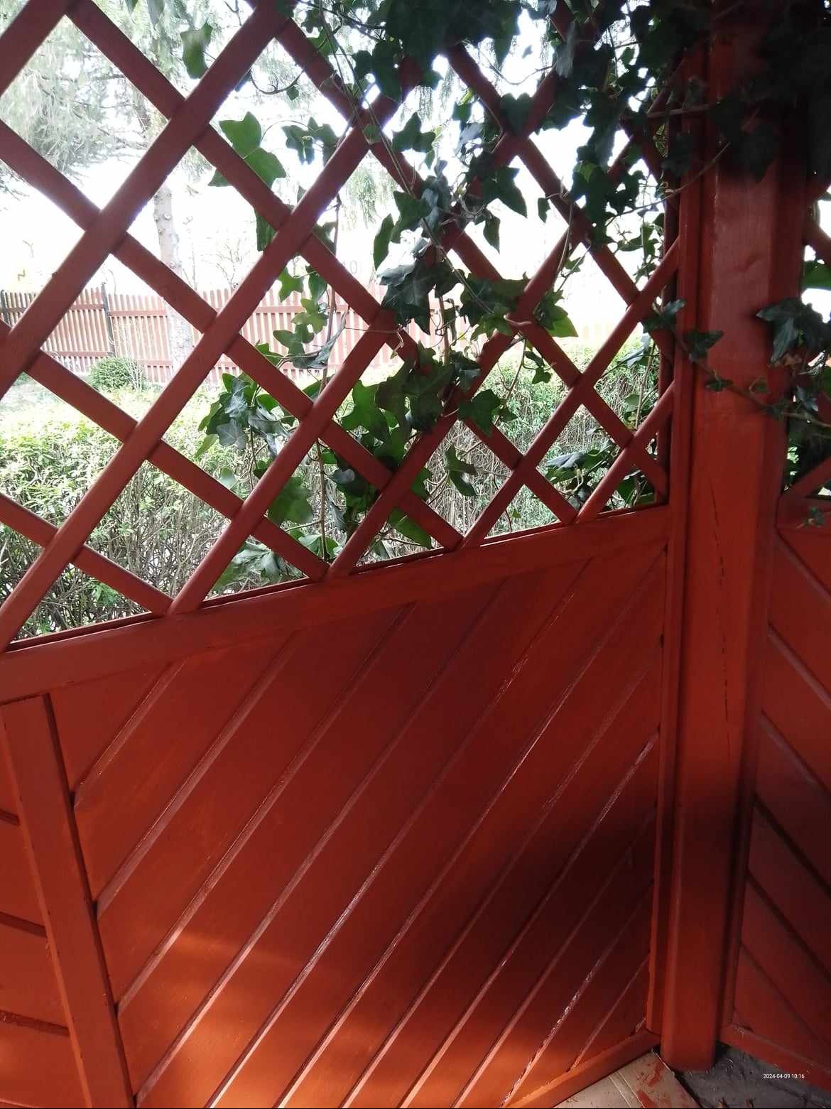 Świeżo pomalowana, brązowa drewniana altana z kratką, porośnięta bluszczem, widok z bliska.