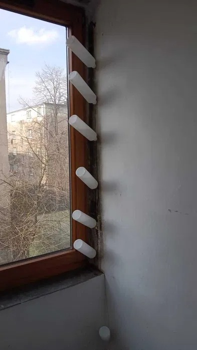 Wilgoć na ścianie przy oknie zabezpieczona białymi, cylindrycznymi pochłaniaczami wilgoci, widok na budynki za oknem.