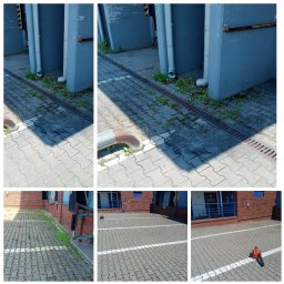 Sprzątanie mieszkań Gdynia 3