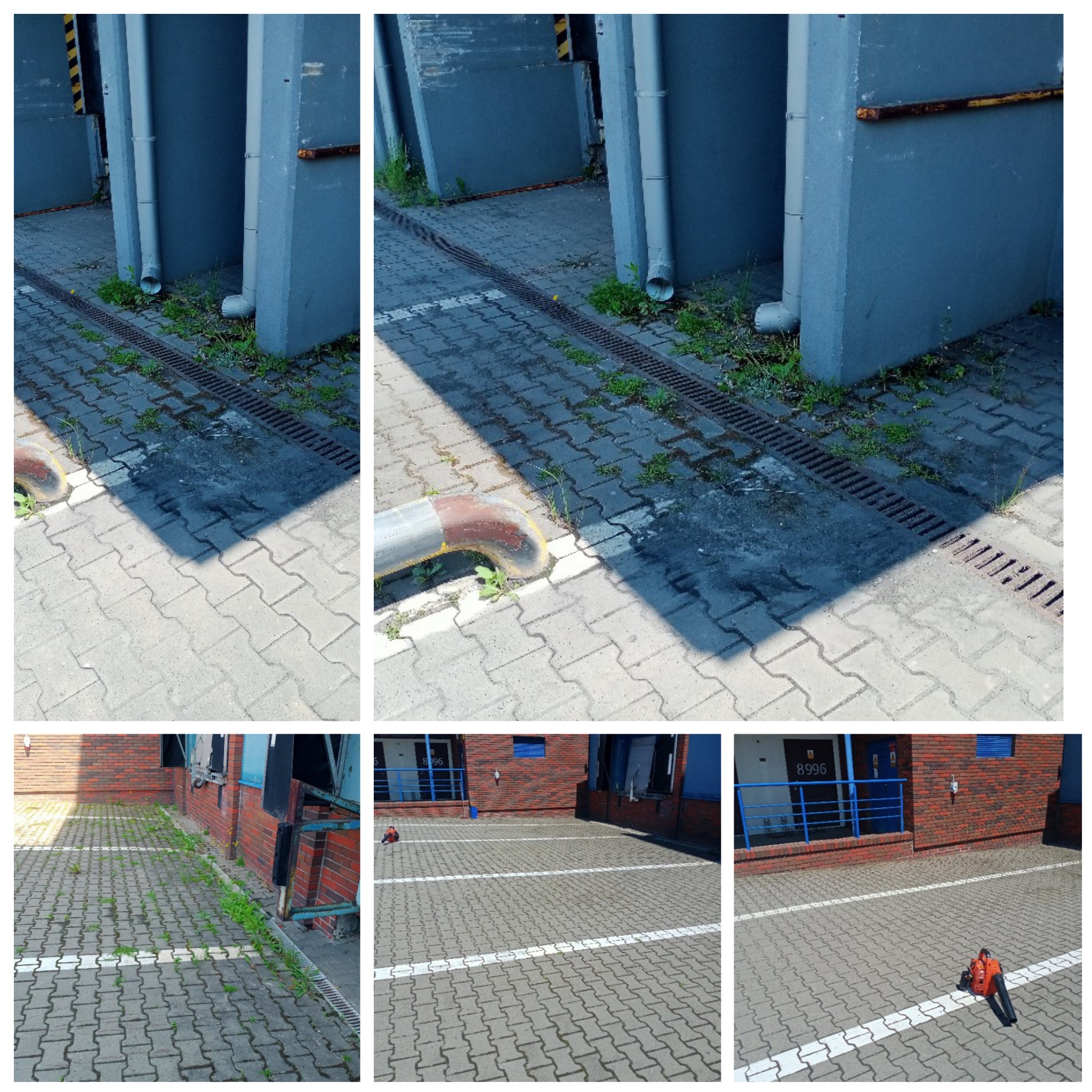 Zarośnięta kostka brukowa przed budynkiem przemysłowym, widoczne chwasty w szczelinach i przy krawężnikach, na dalszym planie dmuchawa do liści.