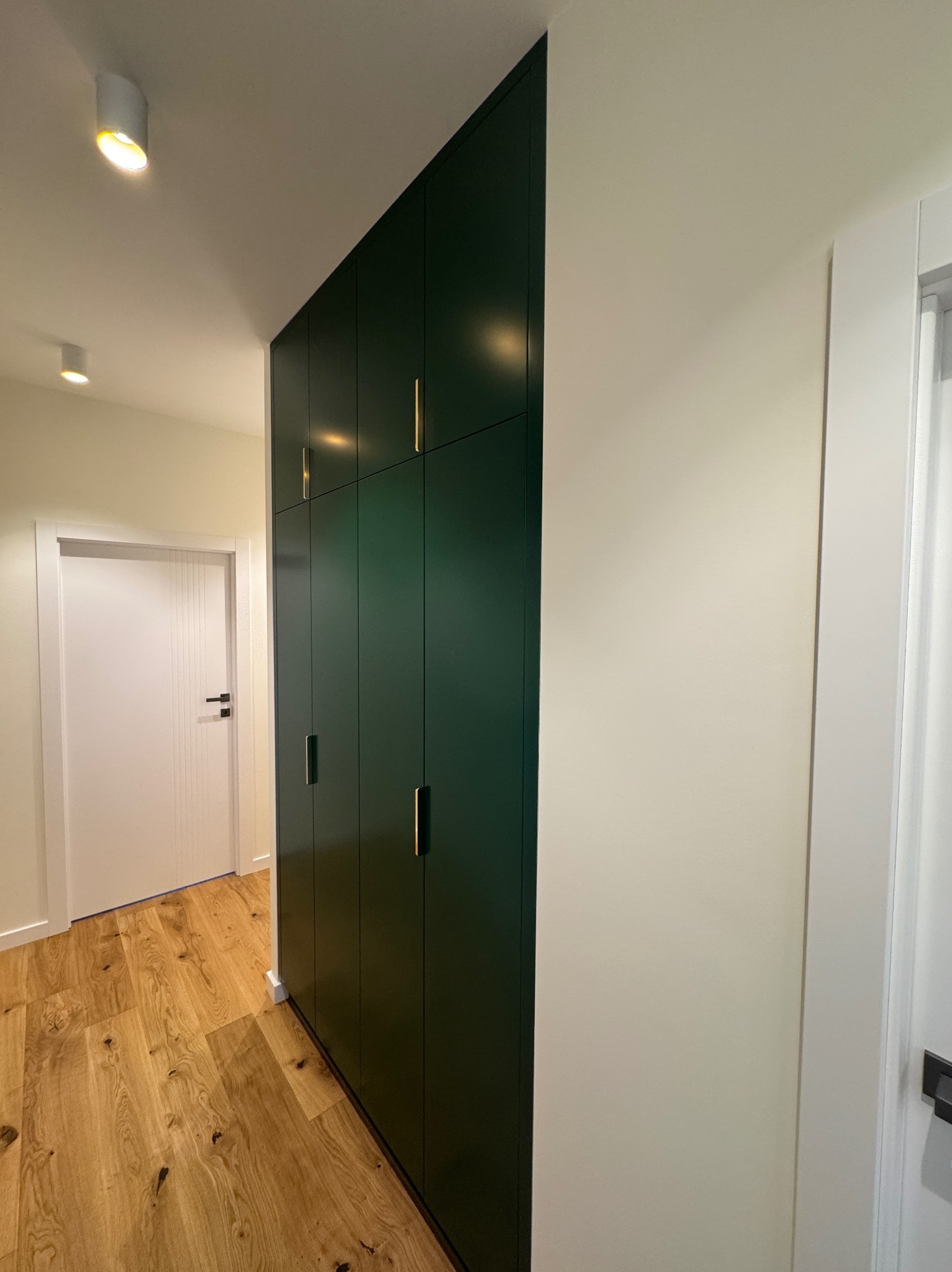 Nowoczesna szafa wnękowa w odcieniach butelkowej zieleni z złotymi uchwytami, drewniana podłoga, białe drzwi i oświetlenie punktowe w przedpokoju.