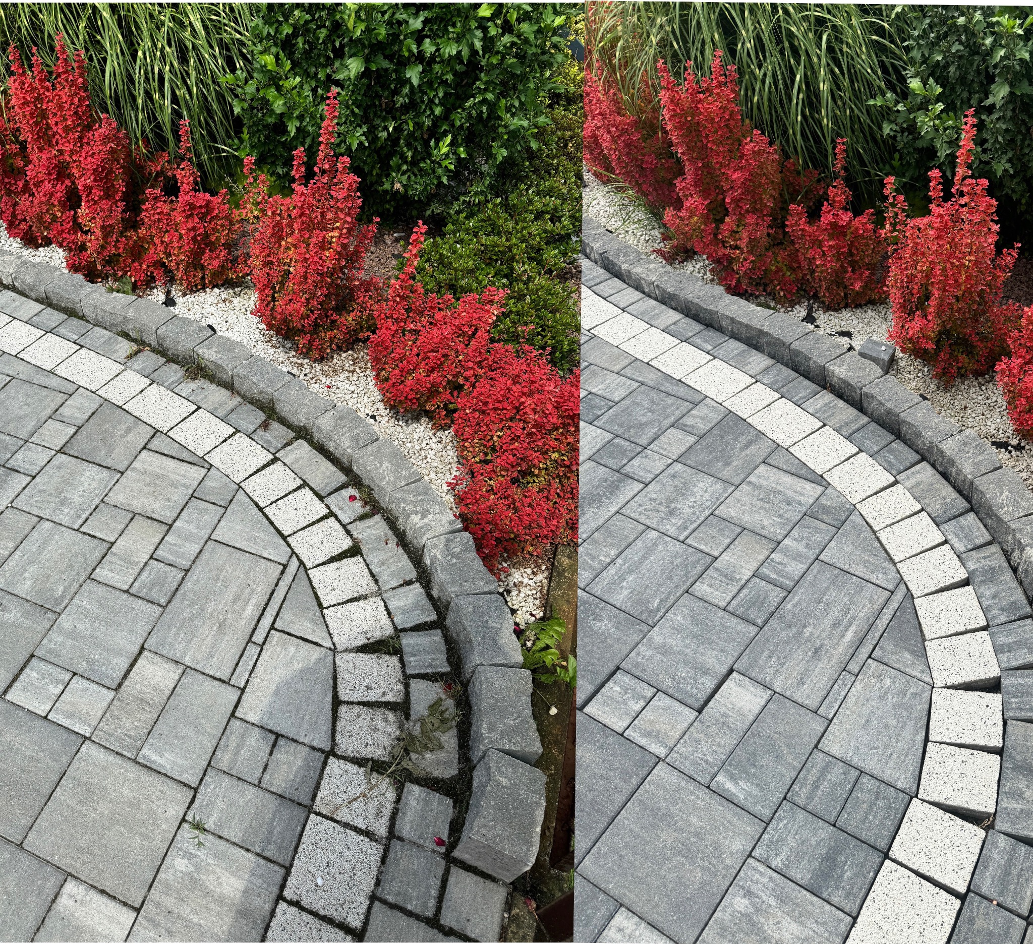 Ułożona z szarych kostek brukowych ścieżka z białym obramowaniem, otoczona czerwonymi krzewami i białym żwirem.