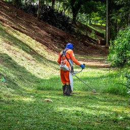 Utrzymanie terenów zielonych.