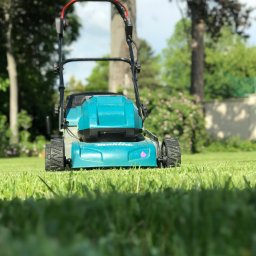 Utrzymanie terenów zielonych.