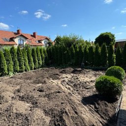SpecGreen - Przygotowany teren pod trawnik z nasypaną ziemią, obrzeża z tujami i kulistymi krzewami, widok na dom z czerwoną dachówką i błękitne niebo.