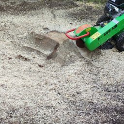 Wycinka drzew Opalenica 4