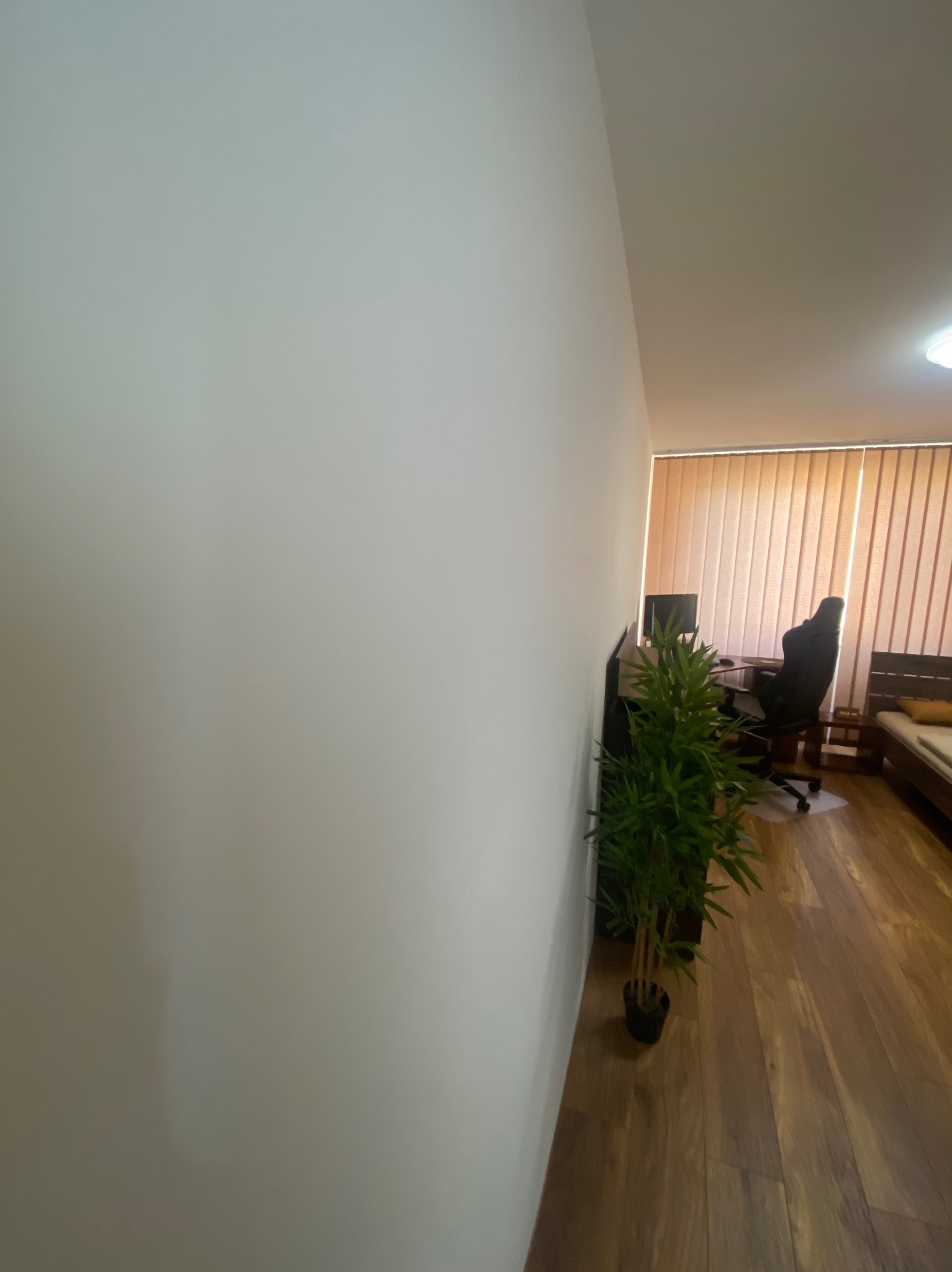 Świeżo pomalowana, gładka ściana w pokoju biurowym w Warszawie, widoczna z perspektywy podłogi, z bambusową rośliną doniczkową w rogu i biurkiem w tle.