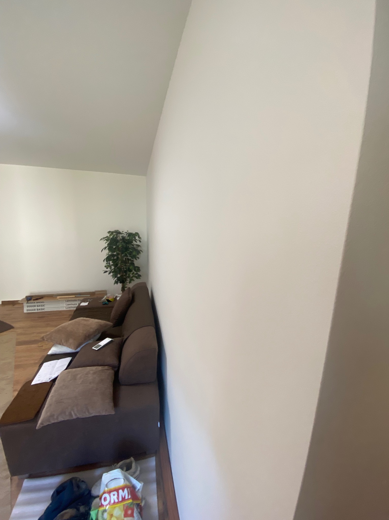Świeżo pomalowana, jasna ściana w pokoju, z widocznym fragmentem brązowej sofy, opakowaniami paneli podłogowych i rośliną doniczkową w tle.