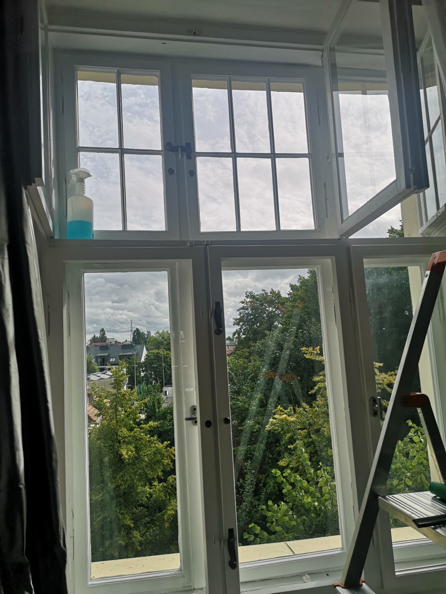 Otwarta, biała rama okienna z widokiem na zieleń Tczewa, butelka z płynem do czyszczenia na parapecie, drabina przystawiona do okna.