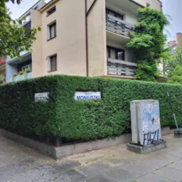 Gęsty, równo przycięty żywopłot z tabliczkami ulicznymi 'ul. Kielecka' i 'ul. Moniuszki', przysłaniający budynek mieszkalny. Obok żywopłotu skrzynka elektryczna z graffiti i grabie.