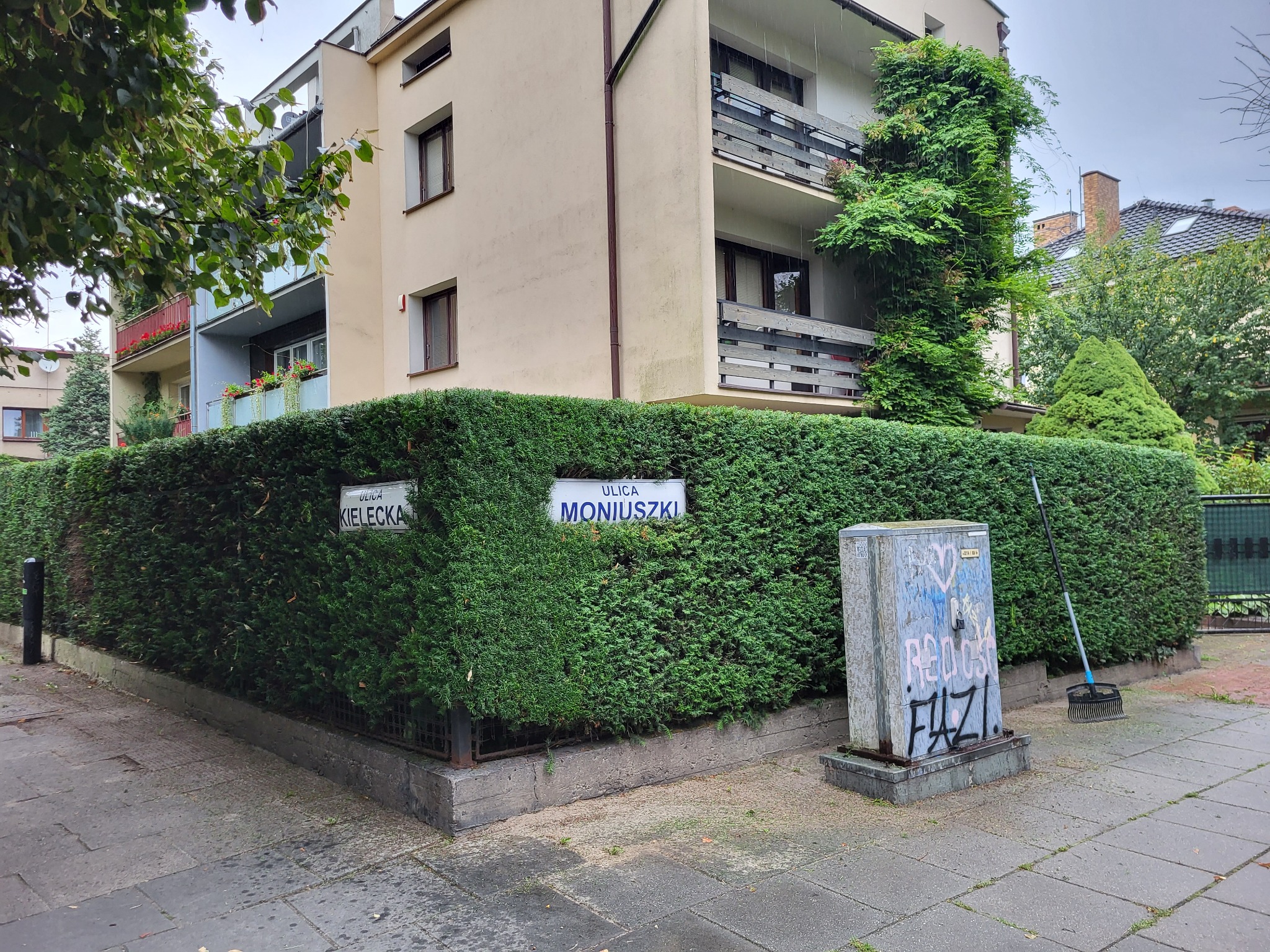 Gęsty, równo przycięty żywopłot z tabliczkami ulicznymi 'ul. Kielecka' i 'ul. Moniuszki', przysłaniający budynek mieszkalny. Obok żywopłotu skrzynka elektryczna z graffiti i grabie.