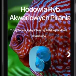 Widok mobilny sklepu internetowego wykonanego przez firmę Imagine Website