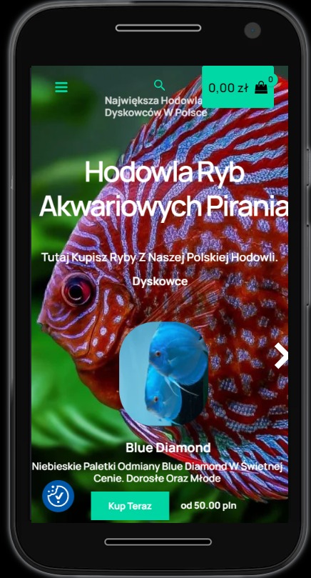 Widok mobilny sklepu internetowego wykonanego przez firmę Imagine Website