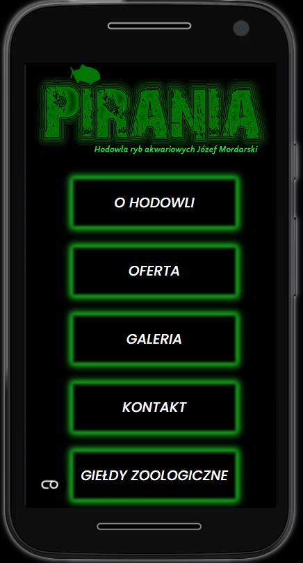 Widok mobilny strony typu one page wykonanej przez firmę Imagine Website